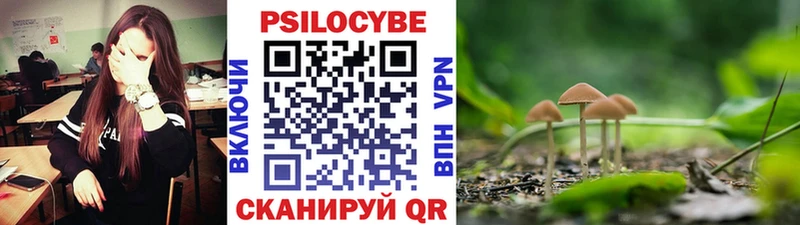 Купить где  Асбест  Псилоцибиновые грибы Magic Shrooms 